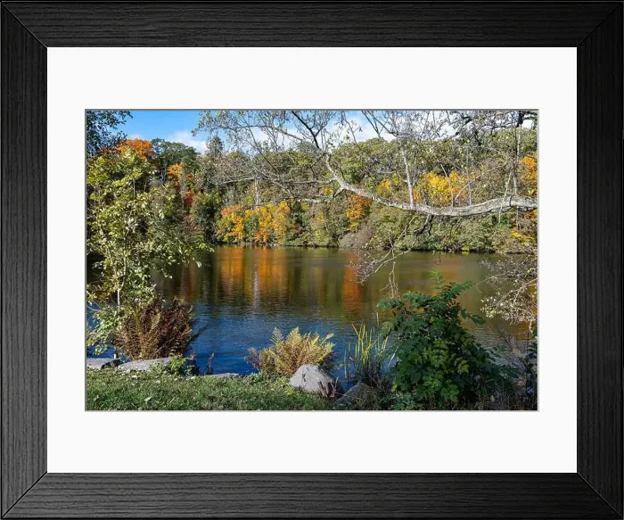 Framed Print : 2ygg9y7 Framed Print : 2ygg9y7