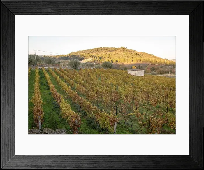 Framed Print : 2ygnmpe Framed Print : 2ygnmpe