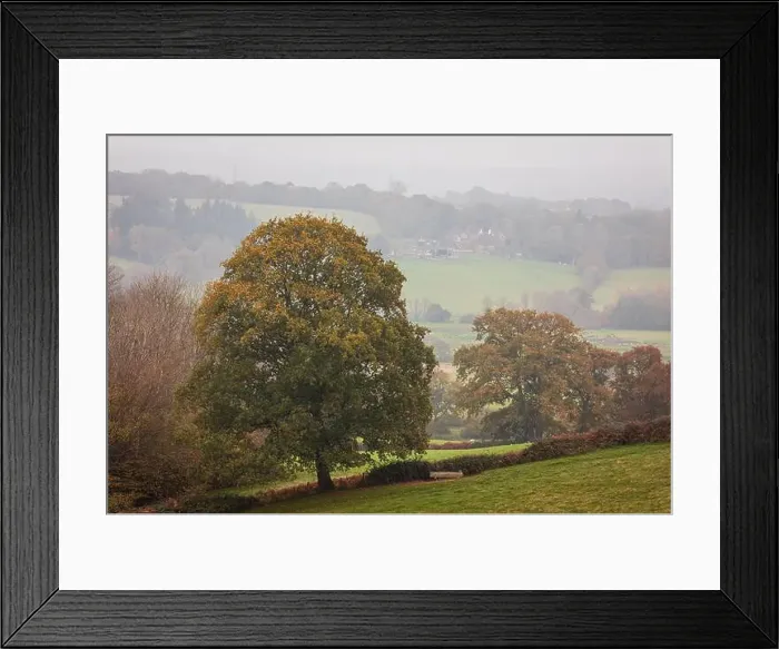 Framed Print : 2yh27wc Framed Print : 2yh27wc