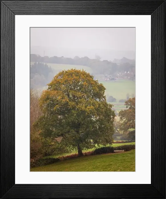 Framed Print : 2yh27wd Framed Print : 2yh27wd