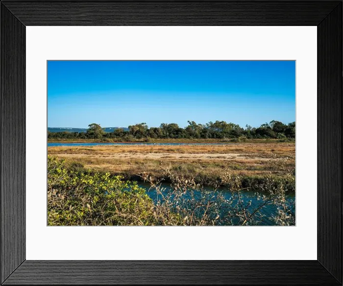 Framed Print : 2yh2tjd Framed Print : 2yh2tjd