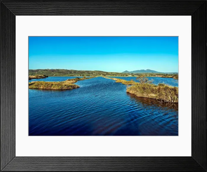 Framed Print : 2yh2tm6