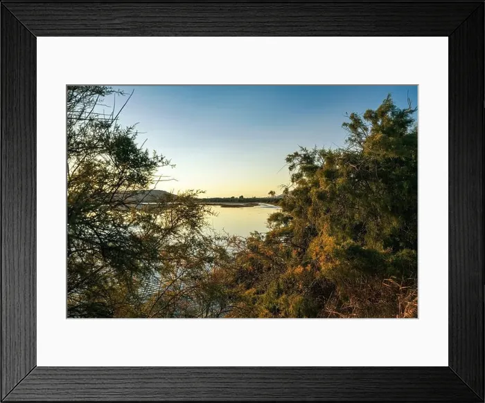 Framed Print : 2yh2tpt Framed Print : 2yh2tpt