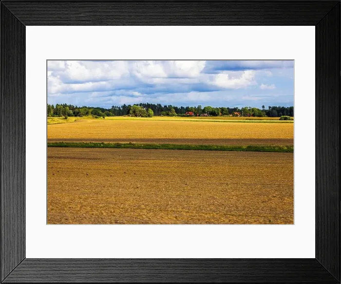 Framed Print : 2yh5mny Framed Print : 2yh5mny