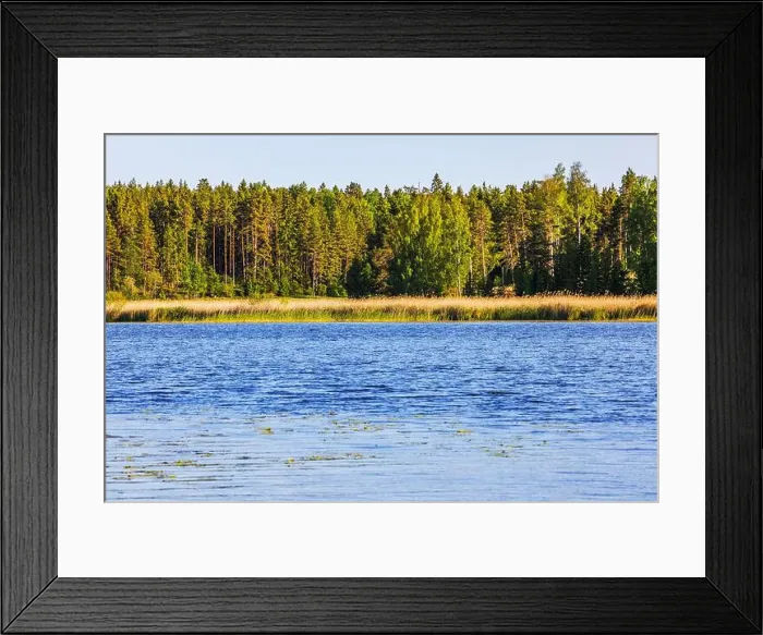 Framed Print : 2yh5mpa Framed Print : 2yh5mpa