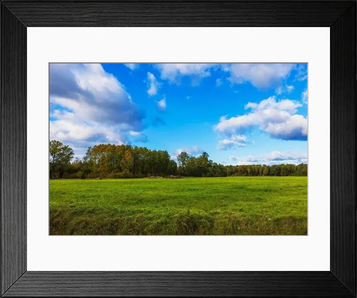 Framed Print : 2yh5p32 Framed Print : 2yh5p32