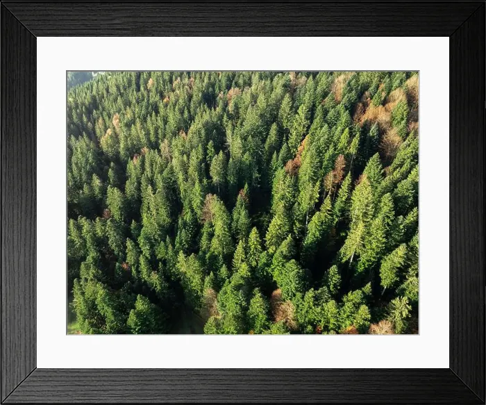 Framed Print : 2yh734p Framed Print : 2yh734p