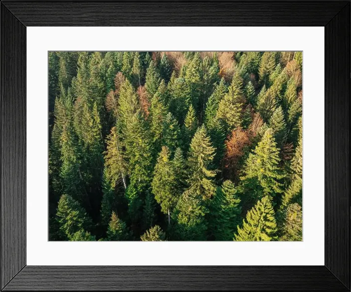 Framed Print : 2yh734r Framed Print : 2yh734r