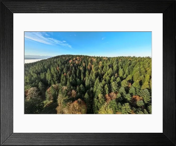 Framed Print : 2yh734t Framed Print : 2yh734t
