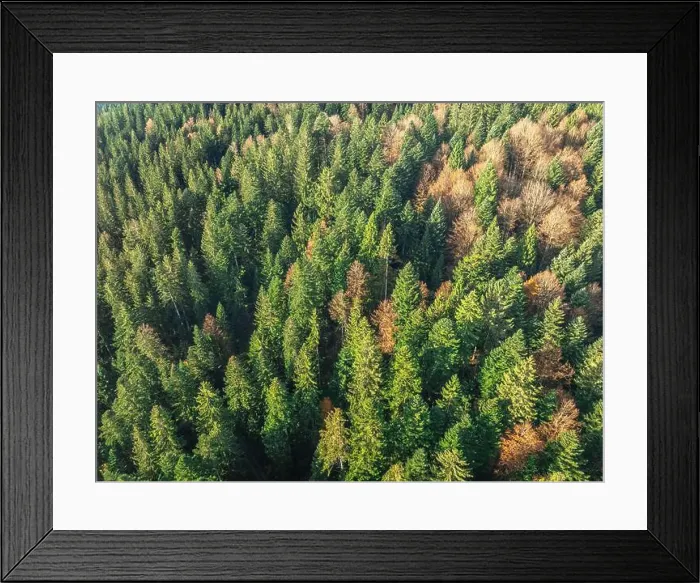 Framed Print : 2yh734x Framed Print : 2yh734x