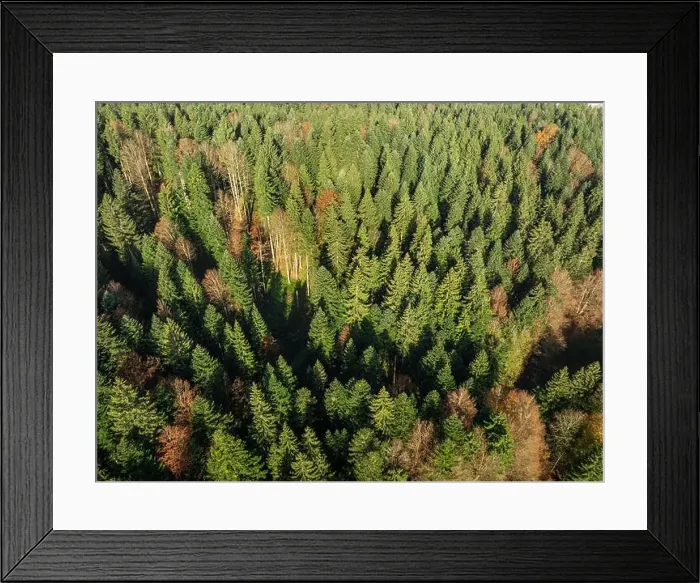 Framed Print : 2yh7350 Framed Print : 2yh7350