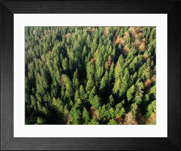 Framed Print : 2yh7351 Framed Print : 2yh7351