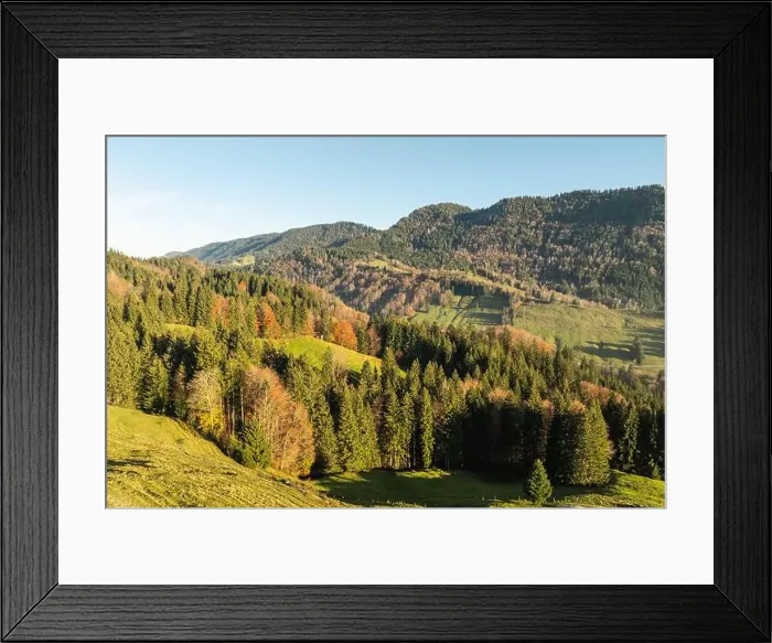 Framed Print : 2yh7369 Framed Print : 2yh7369