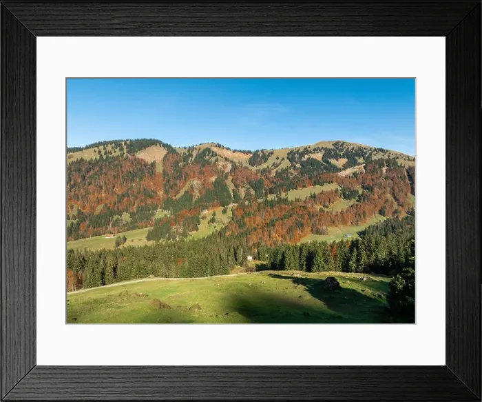 Framed Print : 2yh73cp