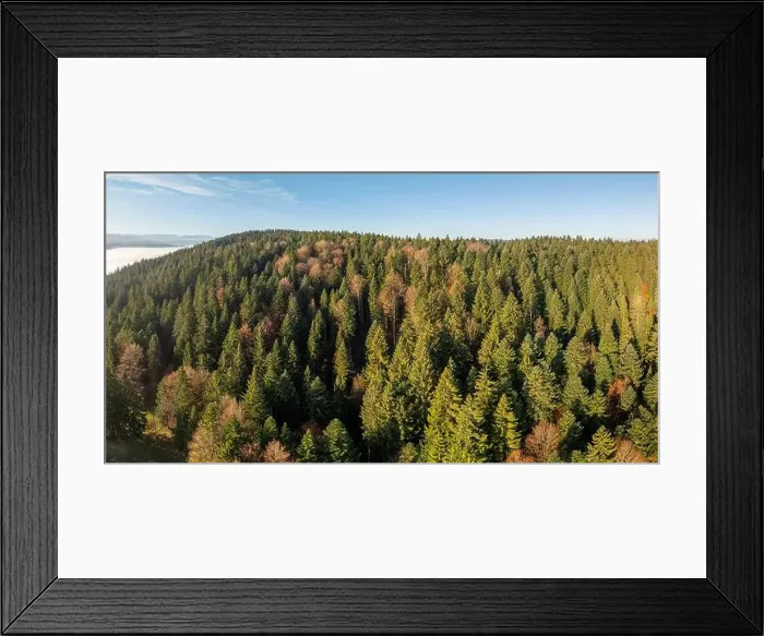 Framed Print : 2yh73g2 Framed Print : 2yh73g2