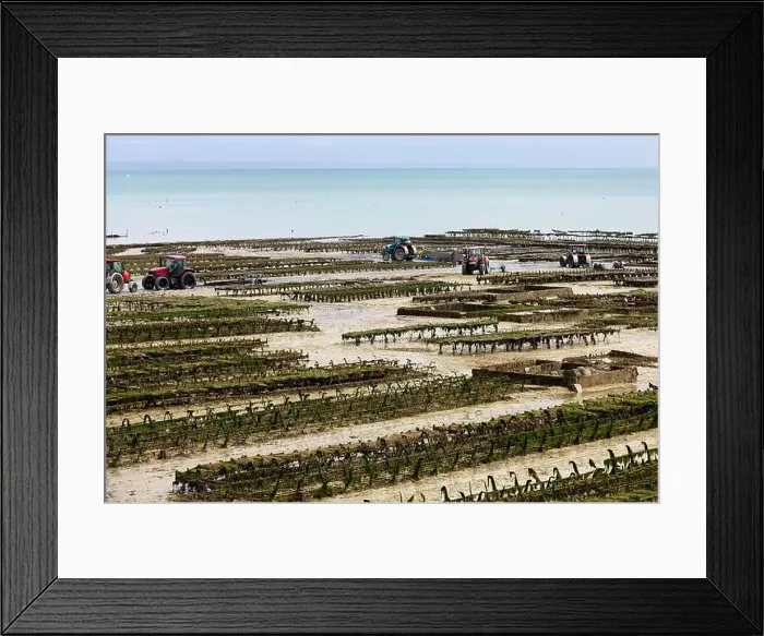 Framed Print : 2yh75en Framed Print : 2yh75en