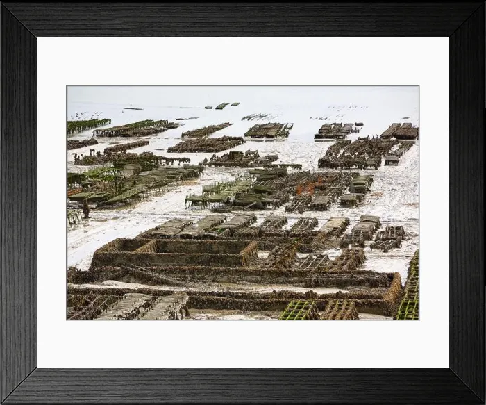 Framed Print : 2yh75ex Framed Print : 2yh75ex