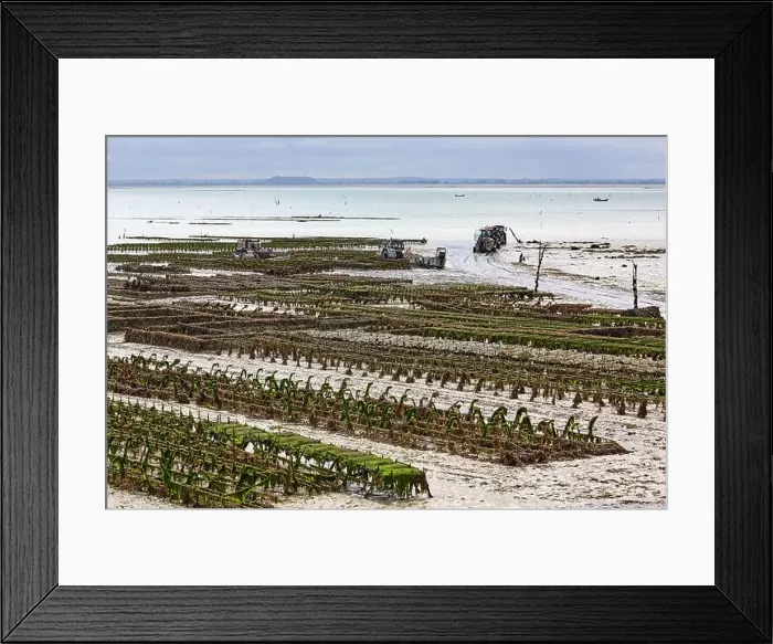 Framed Print : 2yh75ey Framed Print : 2yh75ey