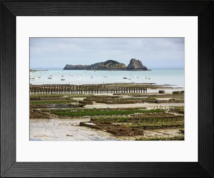 Framed Print : 2yh75f1 Framed Print : 2yh75f1