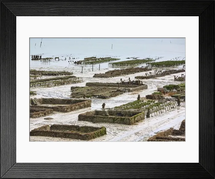 Framed Print : 2yh75f2 Framed Print : 2yh75f2