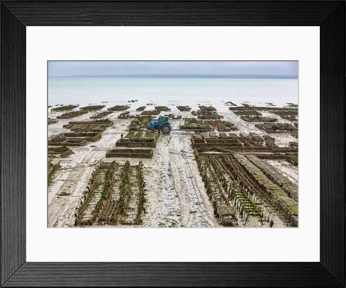 Framed Print : 2yh75f6 Framed Print : 2yh75f6