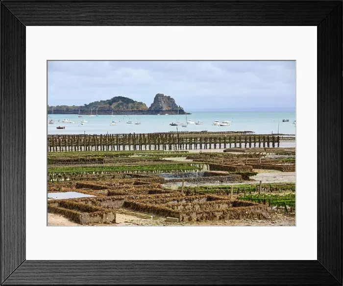 Framed Print : 2yh75hh Framed Print : 2yh75hh