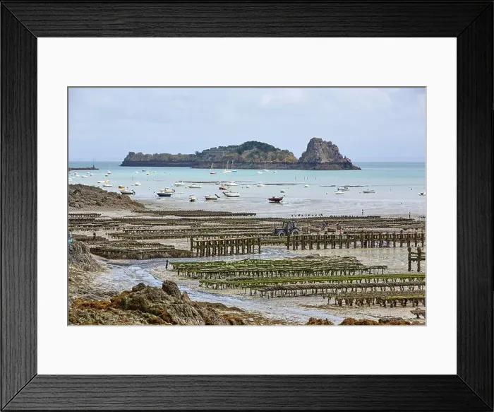 Framed Print : 2yh75hp Framed Print : 2yh75hp