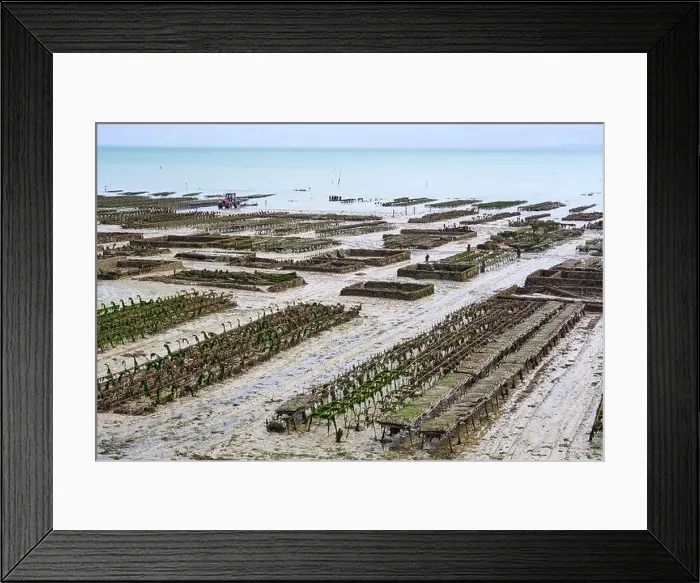 Framed Print : 2yh75hx Framed Print : 2yh75hx