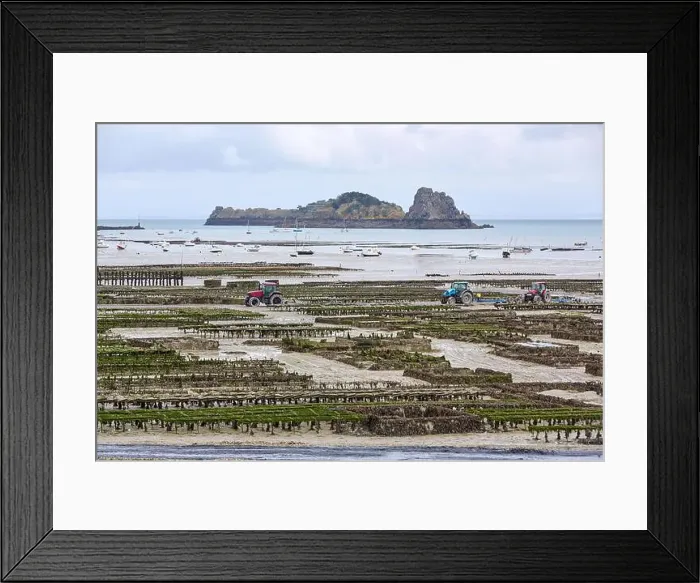 Framed Print : 2yh75hy Framed Print : 2yh75hy