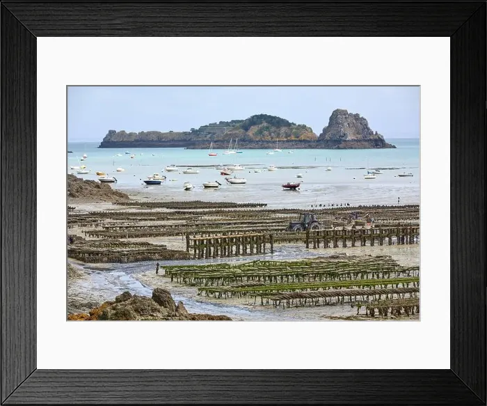 Framed Print : 2yh75j1 Framed Print : 2yh75j1