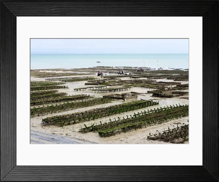 Framed Print : 2yh75j4 Framed Print : 2yh75j4