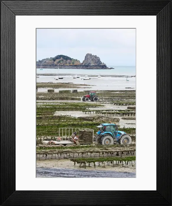 Framed Print : 2yh75m0 Framed Print : 2yh75m0