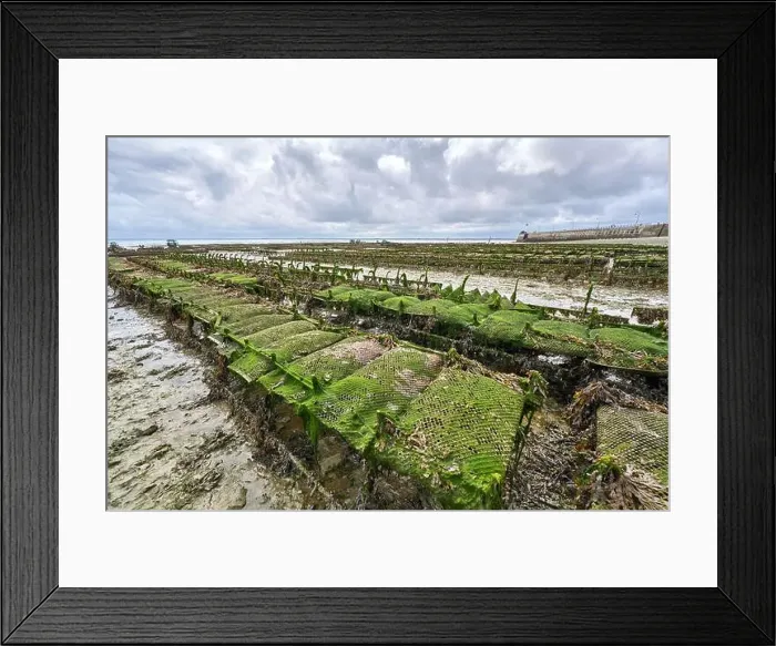 Framed Print : 2yh75mc Framed Print : 2yh75mc