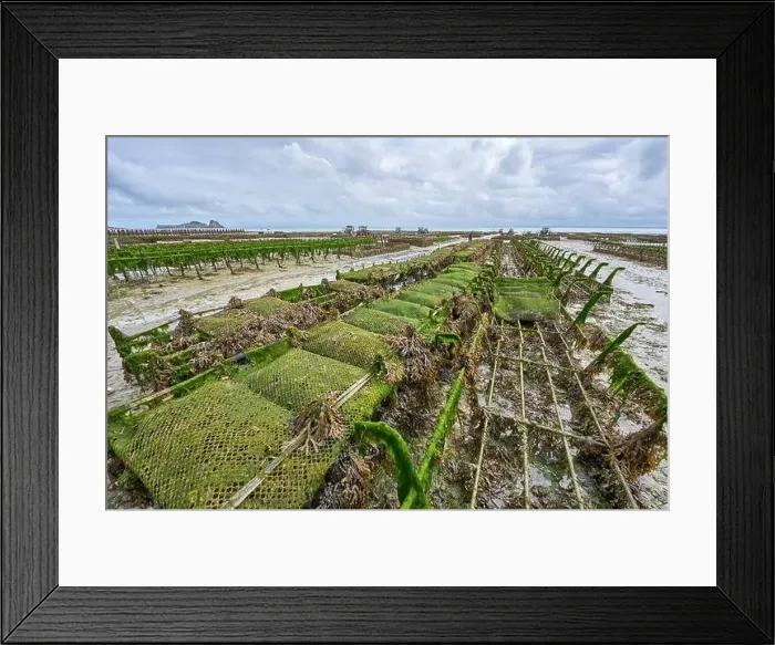 Framed Print : 2yh75mj Framed Print : 2yh75mj
