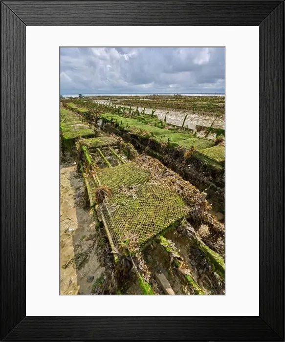 Framed Print : 2yh75pa Framed Print : 2yh75pa