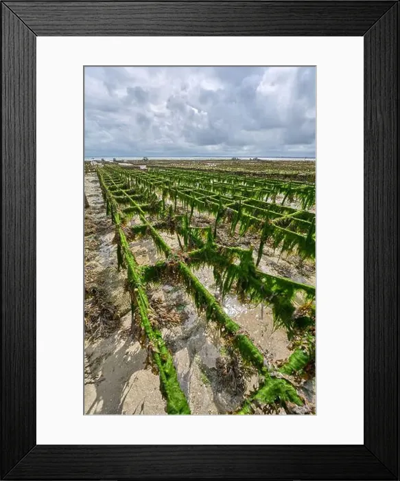 Framed Print : 2yh75pb Framed Print : 2yh75pb