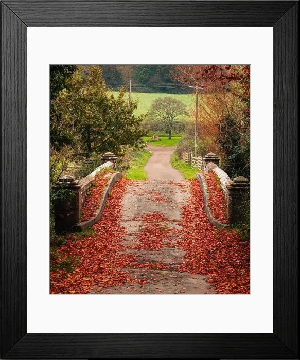 Framed Print : 2yhbt1y Framed Print : 2yhbt1y