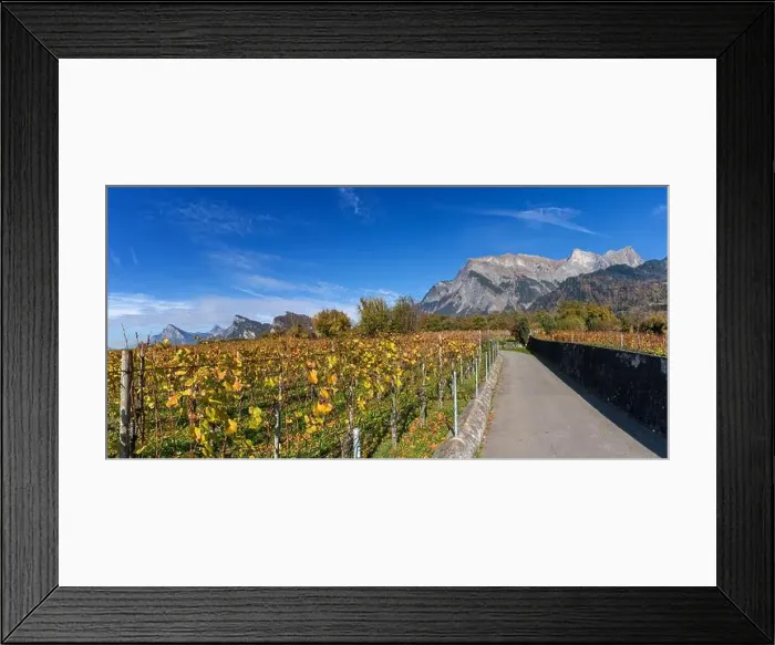 Framed Print : 2yhdh5c Framed Print : 2yhdh5c