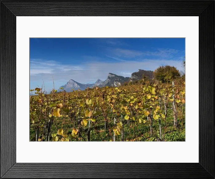 Framed Print : 2yhdh5h Framed Print : 2yhdh5h