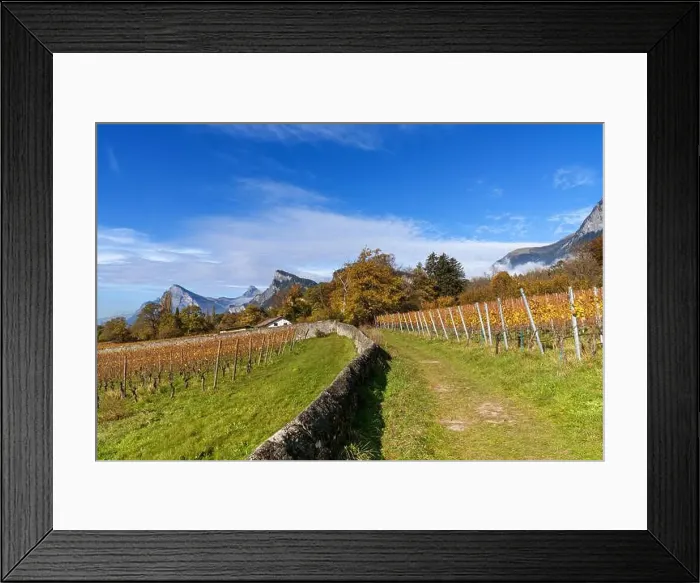 Framed Print : 2yhdh5k Framed Print : 2yhdh5k