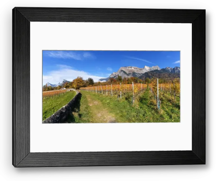 Framed Print : 2yhdh5m Framed Print : 2yhdh5m