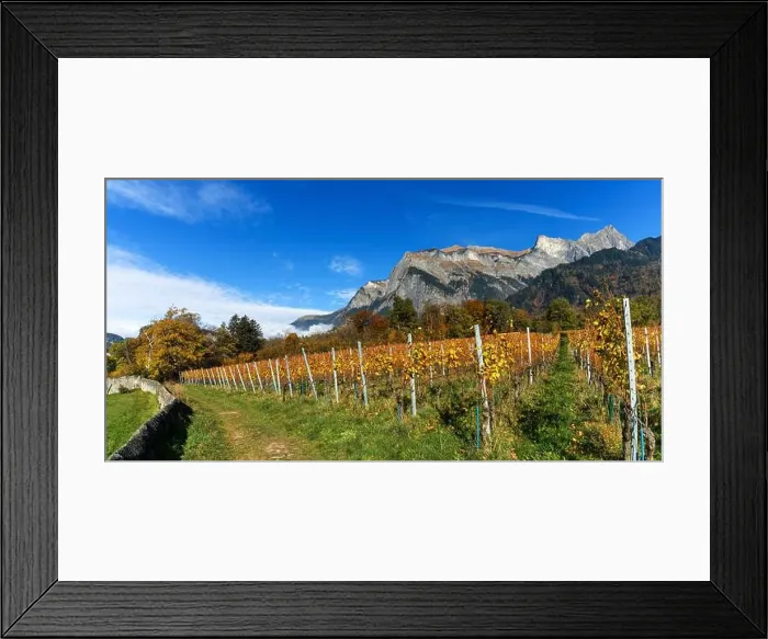 Framed Print : 2yhdh5p Framed Print : 2yhdh5p