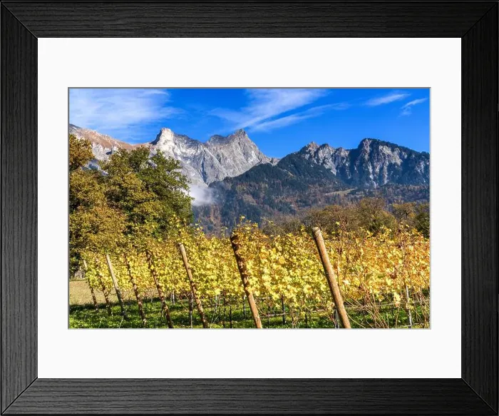 Framed Print : 2yhdh5w Framed Print : 2yhdh5w