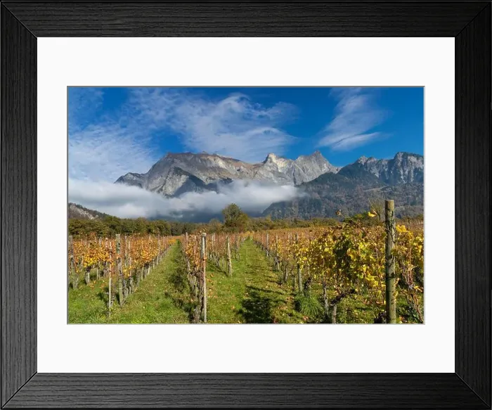 Framed Print : 2yhdh5x Framed Print : 2yhdh5x