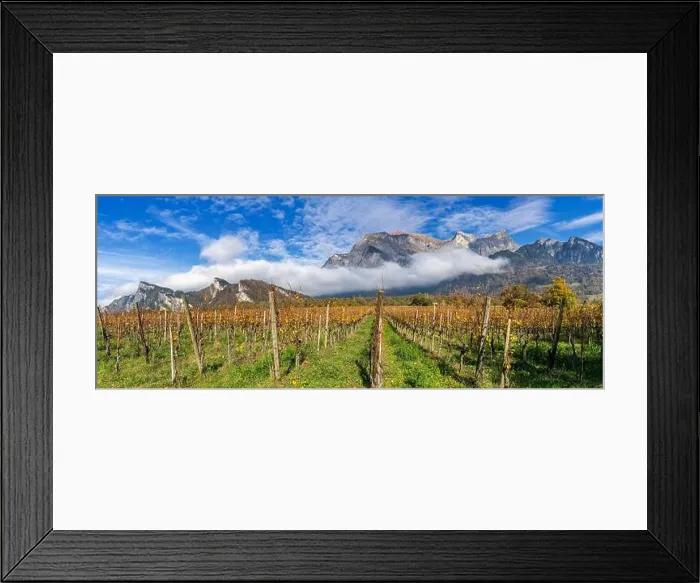 Framed Print : 2yhdh62 Framed Print : 2yhdh62