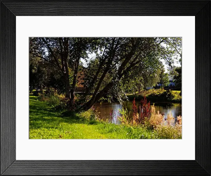 Framed Print : 2yhdkax Framed Print : 2yhdkax