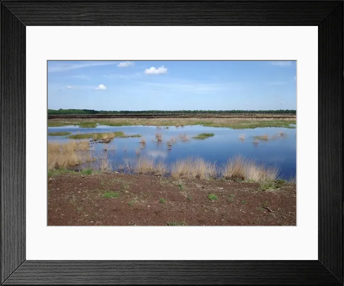 Framed Print : 2yhe9k2 Framed Print : 2yhe9k2