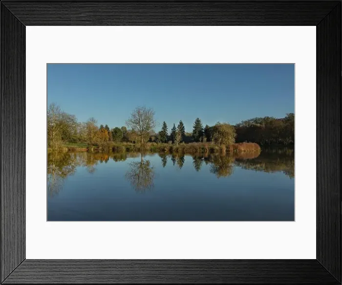 Framed Print : 2yhemp0 Framed Print : 2yhemp0