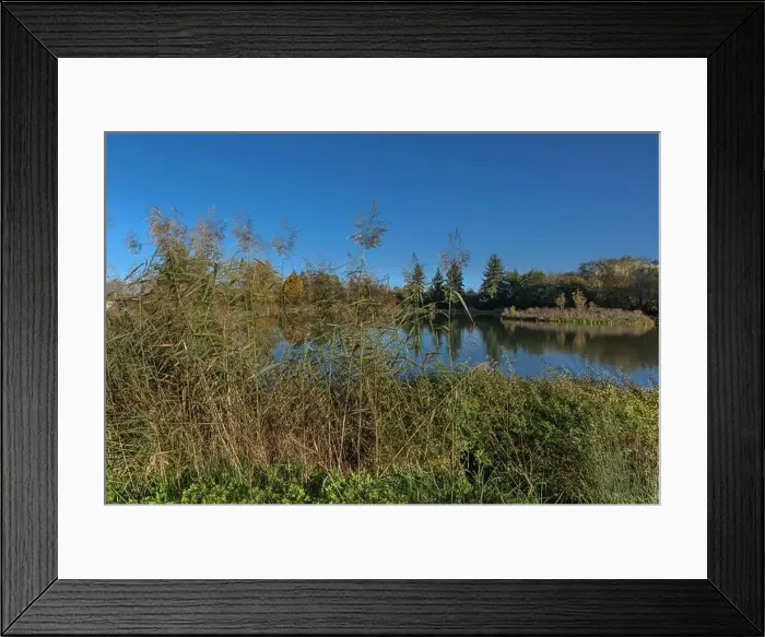 Framed Print : 2yhemra Framed Print : 2yhemra