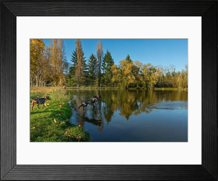 Framed Print : 2yhemtt Framed Print : 2yhemtt